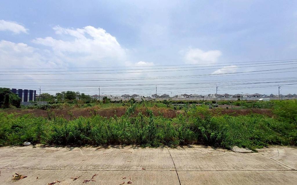 ขายด่วนที่ดินวิวคลอง 95 ตรว ติดถนนสาธารณะ คลองสี่ ซ.สุสวาส ธัญบุรี ปทุมธานี 6