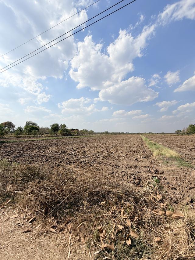 📍ขายที่นา 4ไร่ 3งาน 3.1ตารางวา หน้ากว้าง 40 เมตร น้ำไม่เคยท่วม มีไฟฟ้า น้ำปะปา ติดถนน 6