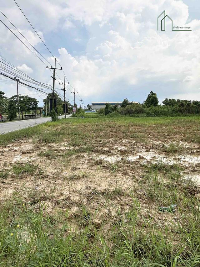 ที่ดิน 2 แปลง 7 ไร่ 1งาน 43 ตร.วา รังสิตคลองหก ถนนคลองตะวันตก 21 ปทุมธานี ใกล้ ม.เทคโนโลยีราชมงคลธัญบุรี 7