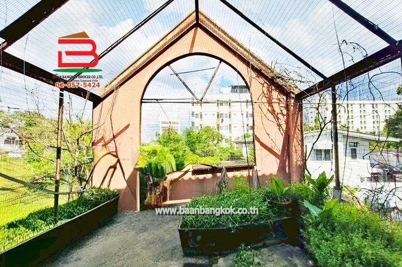 ที่ดินพร้อมบ้าน ซอยงามวงศ์วาน 9 แยก 5 เนื้อที่ 202 ตรว. ถนนงามวงศ์วาน ต.บางกระสอ อ.เมือง จ.นนทบุรี 9