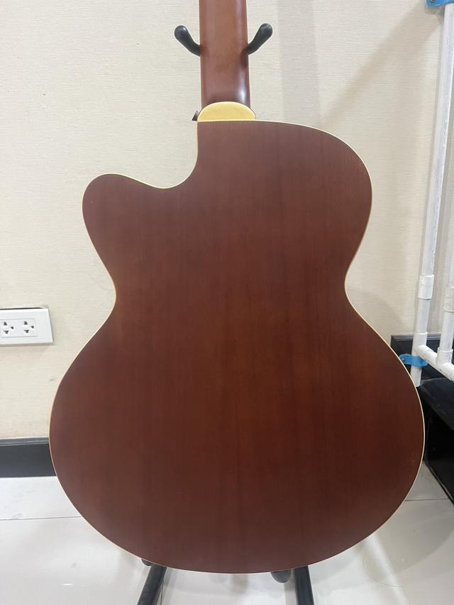 เบสโปร่งไฟฟ้า Vivid รุ่น 485C ไฟฟ้า 4 สาย ขายพร้อมตู้แอมป์เบส Behringer BX108 8 นิ้ว 15 วัตต์ รูปที่ 6