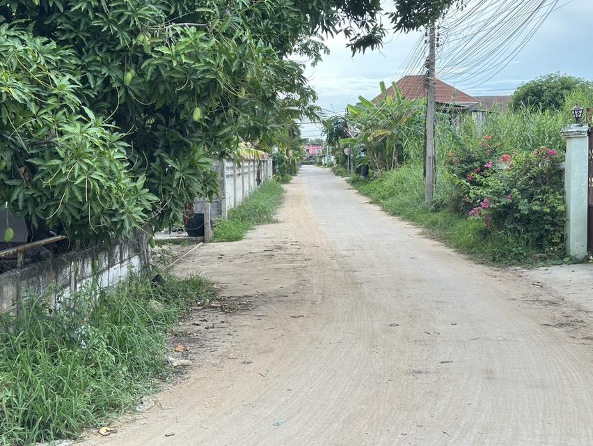 ที่ดิน 3