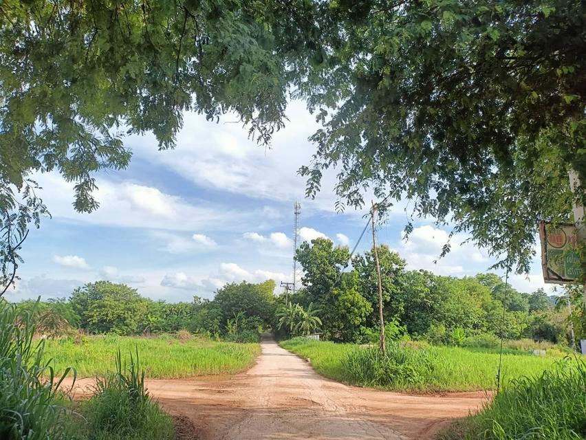 ที่ดินปากช่อง ต.พญาเย็น จ.นครราชสีมา 4