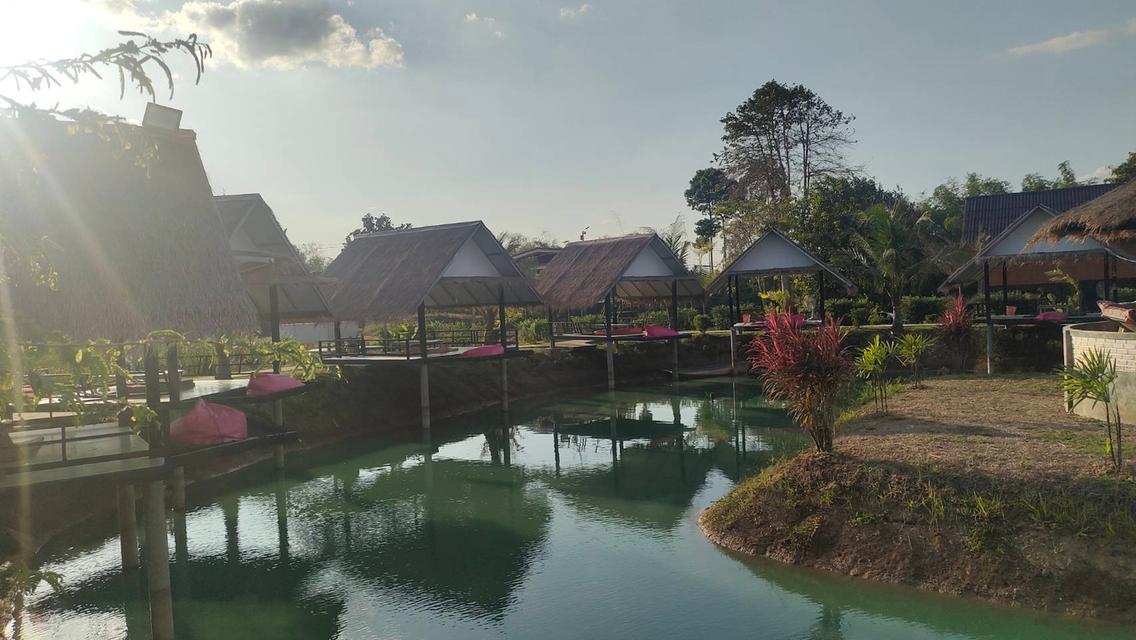 ที่ดินติดแม่น้ำปราจีนฯ พร้อมรีสอร์ท คาเฟ่ ร้านอาหาร เนื้อที่ 14 ไร่ 11