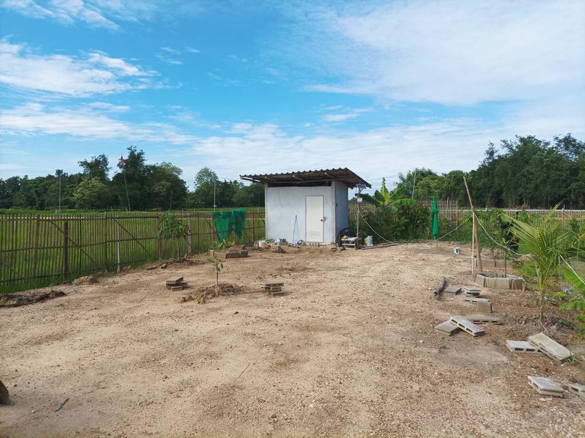 ขายที่ดินเปล่าพร้อมถม ต.สง่าบ้าน อ.ดอยสะเก็ด จ.เชียงใหม่ รูปที่ 10