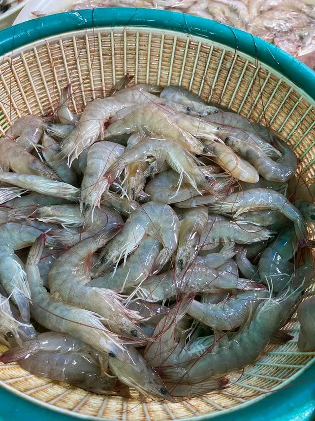 กุ้งขาว 2