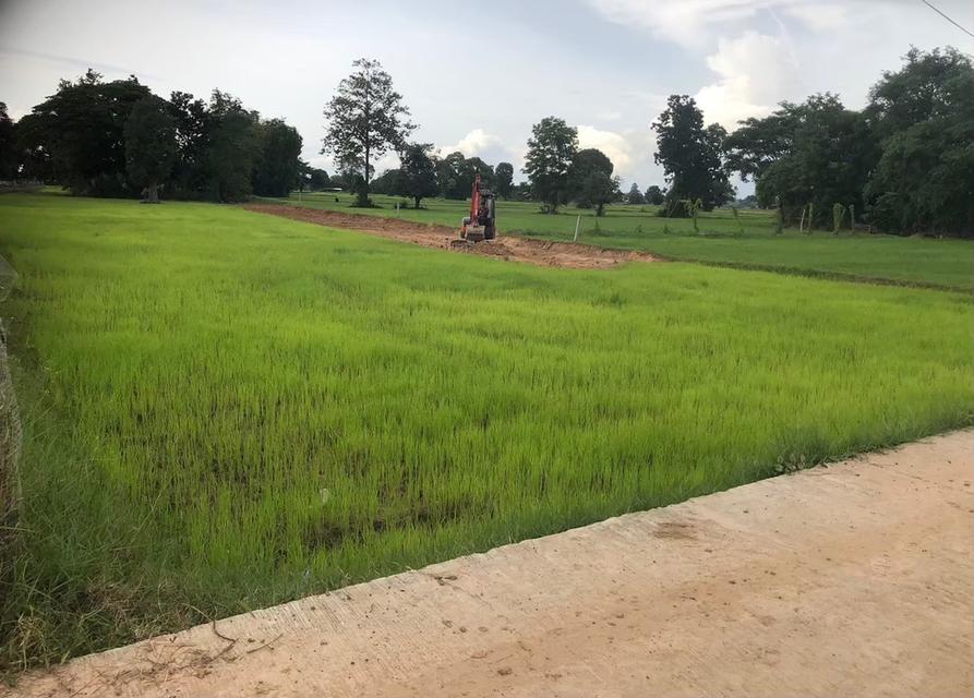 เจ้าของขายเอง ขายที่ดิน 5 ไร่กว่า ติดถนน น้ำ-ไฟ ถึง ห่างสถานีรถไฟ อำเภออุทุมพรพิสัย 5 กิโล เดินทางสะดวกมาก 7