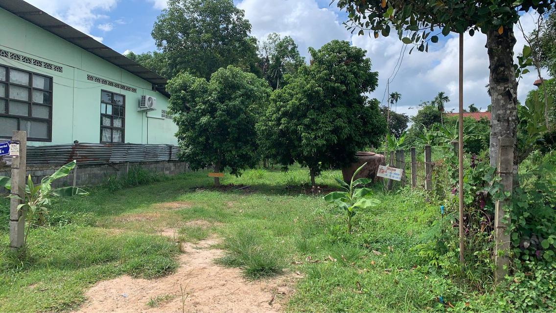 ขายด่วนที่ดิน ถมแล้ว 360 ตรว. ต.ก้านเหลือง ใกล้รร.บ้านดอนโทน ใกล้รพ.ส่งเสริมสุขภาพ ติดถนน4เลน เส้นสกลนคร-นาแก อยู่ในย่านชุมชน เหมาะพักอาศัย ค้าขาย 2