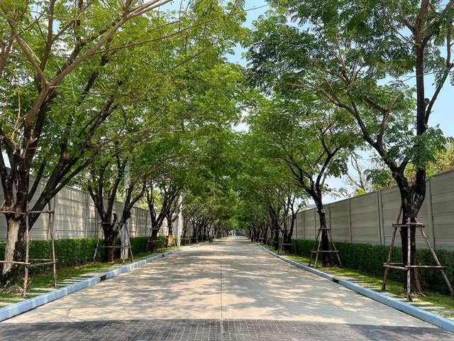 P699 ให้เช่า ขาย ทาวน์โฮม 3 ชั้น โครงการ บ้านกลางเมือง พหลฯ-รามอินทรา  Baan Klang Muang Phahol-Ramintra ตกแต่งพร้อมอยู่ เหมาะพักอาศัย 4