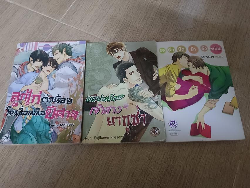 นิยายการ์ตูนวายมือสอง