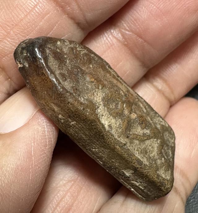 พระนาคปรกขี่ครุฆเนื้อดิน พิมพ์โบราณ ไม่ทราบเกจิ 3