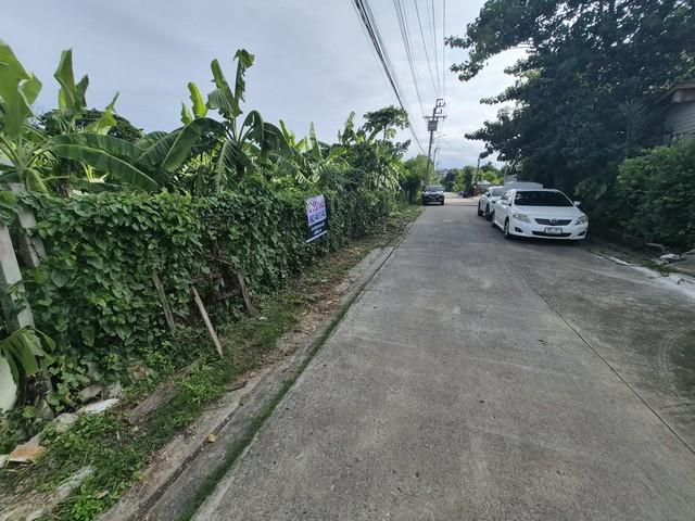 ขาย ที่ดินถมแล้ว 1 ไร่ ใกล้สวนหลวง ร. 9, ห้างพาราไดซ์, รถไฟฟ้า, รพ.สินแพทย์ เพียง 3-5 นาที ราคาดีที่สุดในย่านนี้ !! 3