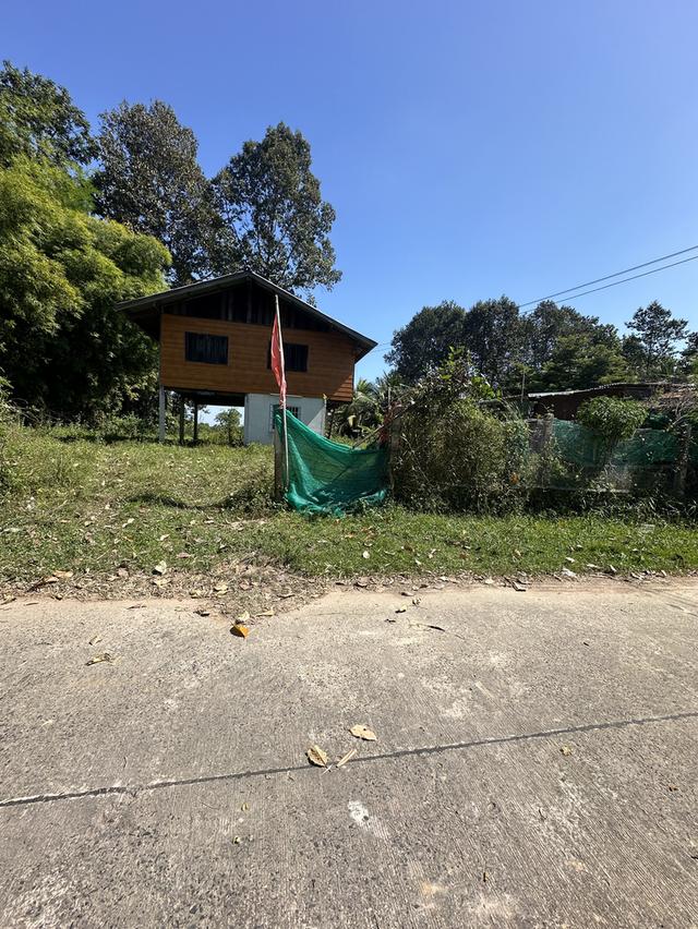 ขายด่วนที่ดินแถมบ้าน อำเภอเมืองอุบลราชธานี ใกล้สนามบินอุบล 16