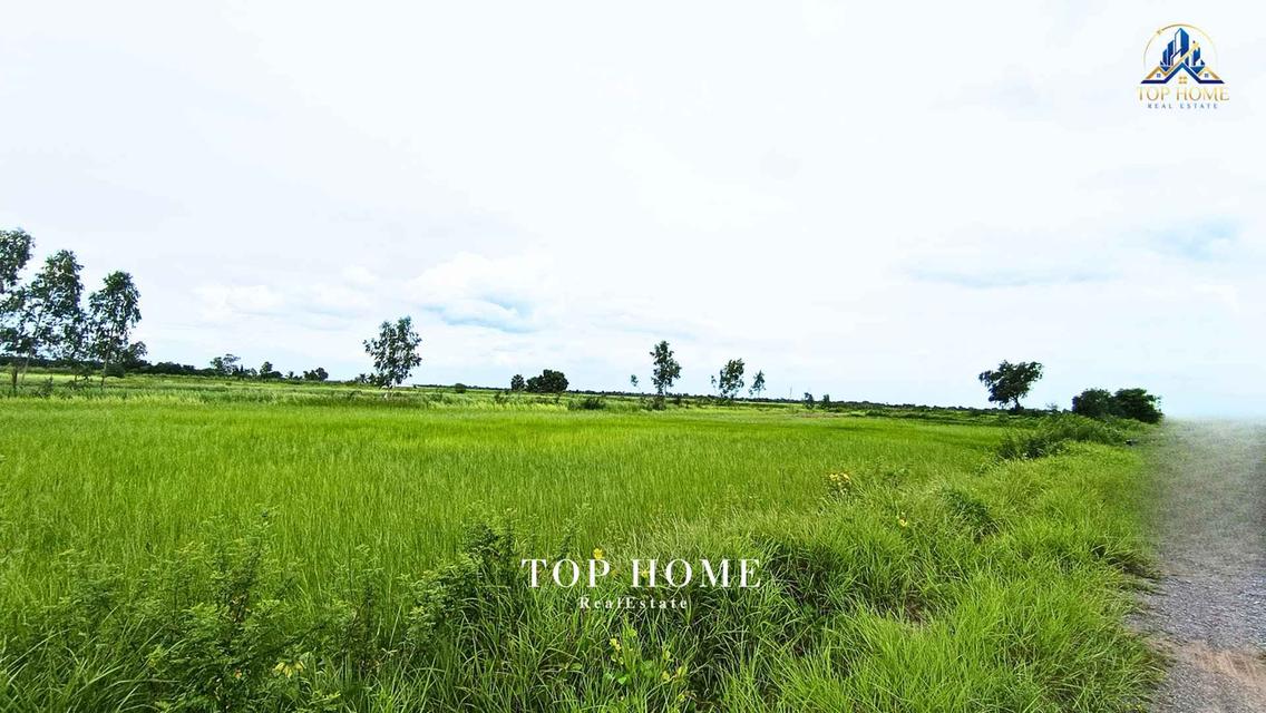 ขายด่วน! ที่ดินเปล่า 200 ตร.ว. องครักษ์ 24 — ราคาเพียง 590,000 บาท! 🔥 🌿 แปลงสวย ขนาดกำลังดี เหมาะทำสวน–เพาะปลูก | โฉนดเดียว 9