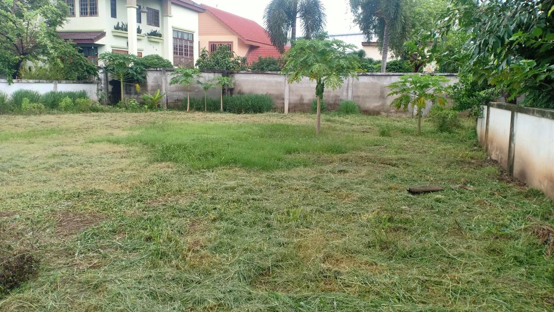 ที่ดินเปล่าในโครงการหมู่บ้าน ซอยท่าอิฐ จังหวัดนนทบุรี 5