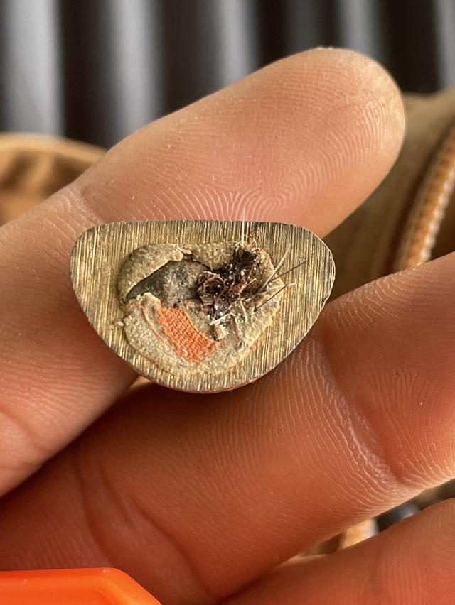 หลวงปู่ศรีทา สริจันโท