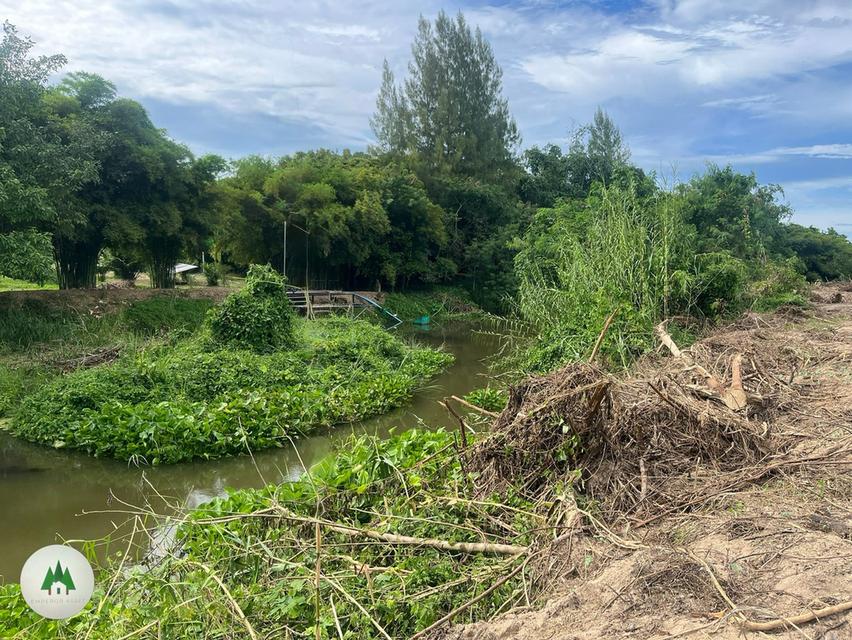 📣ขายที่ดิน ติดถนนใหญ่สายหลัก ด้านหลังติดแม่น้ำภาชี พร้อมสวนยาง อายุ 10 ปี เนื้อที่ 10 ไร่ 7