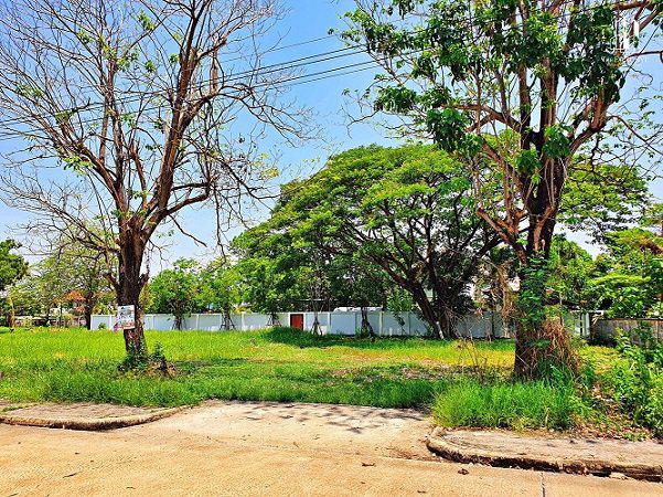 รูป 84590 - ขายด่วน! ที่ดินเปล่า 122 ตร.ว. ม.สารินปาร์ค รังสิต-ธัญบุรี คลอง 5 ธัญบุรี ปทุมธานี