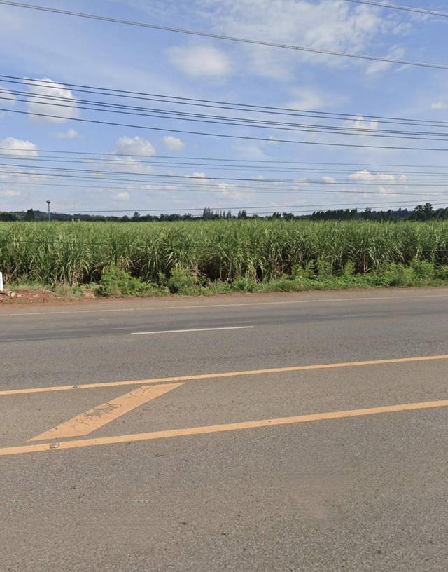 ขายที่ดิน115ไร่ตำบลทุ่งอรุณ  อำเภอโชคชัยจังหวัดนครราชสีมา  พื้นที่ 115ไร่เศษ​ 2