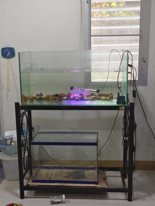 ตู้ปลาติดกับขาตั้ง1.5เมตรกวาง1.2เมตรลึก60เชนโดยประมาณ