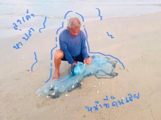 ขายด่วน ที่ติดทะเล ติดหาดยาว 47 +20 เมตร1 ไร่ 3.5 ล้าน 9