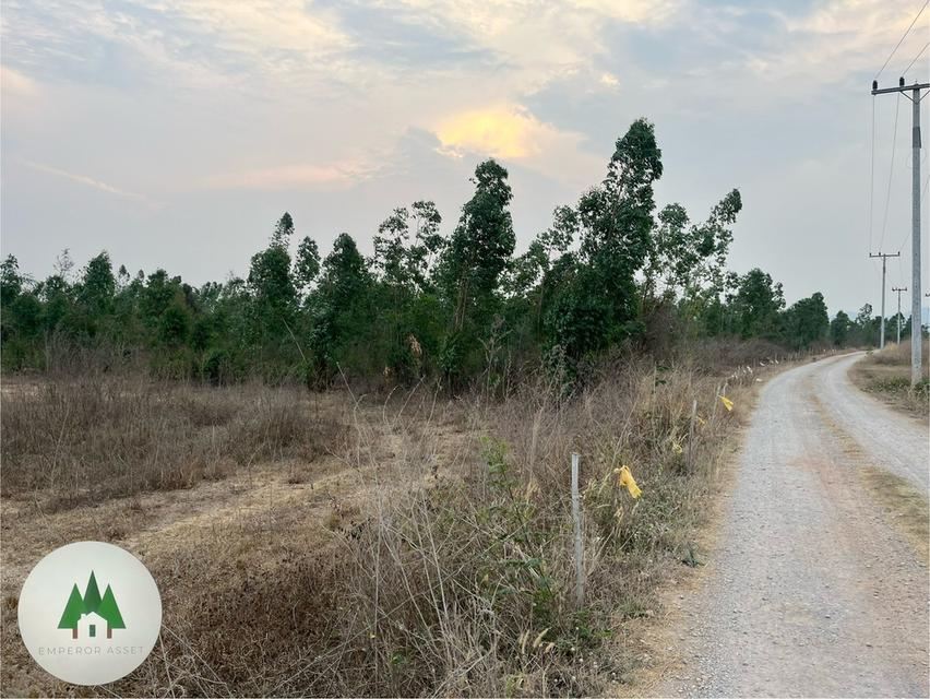 📣ขายที่ดินโฉนด ตำบลอ่างหิน อำเภอปากท่อ  จังหวัดราชบุรี ⛰️  เนื้อที่ 112 ไร่💰 ราคาไร่ละ 350,000 บาท 2