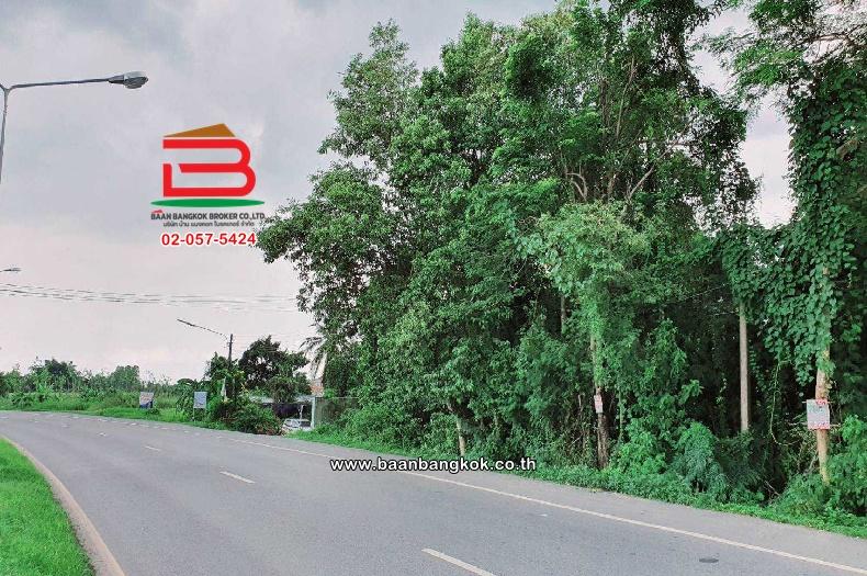 ที่ดินเปล่า ติดหมู่บ้านสวนปาลิกา เนื้อที่ 2-3-5 ไร่ (ซอยสุวรรณศร 6) ตำบลบ้านใหญ่ อำเภอเมืองนครนายก จังหวัดนครนายก 4