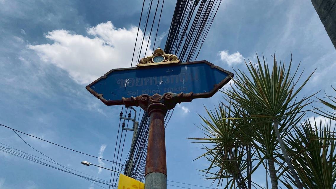 ขายถูกที่ดิน 163 ตารางวา ติดถนนคอนกรีต 2 ซอยคนรักถิ่น ปากเกร็ด นนทบุรี 2