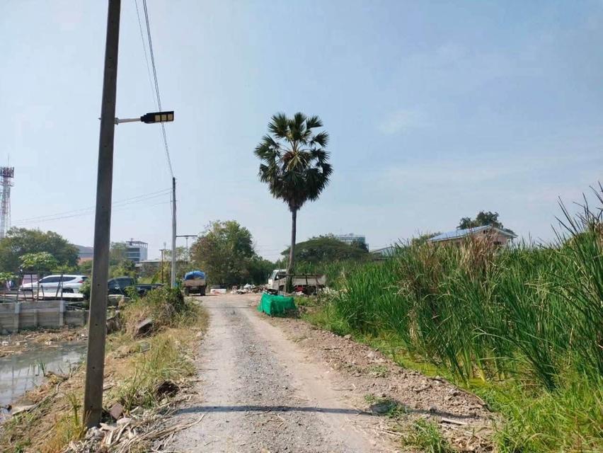 ขายด่วนที่ดินเมืองปทุม 112 ตรว ติดถนนสาธารณะ ซ.ทวีสุข 3/4 ต.บ้านกลาง จ.ปทุม 1