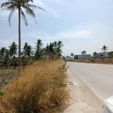 ขายที่ดินศรีราชาชลบุรี ขายที่ดินเนื้อที่ 10-3-10ไร่ผัง สีเหลืองอ่อนห่างท่าเรือแหลมฉบัง 26 กม. 6
