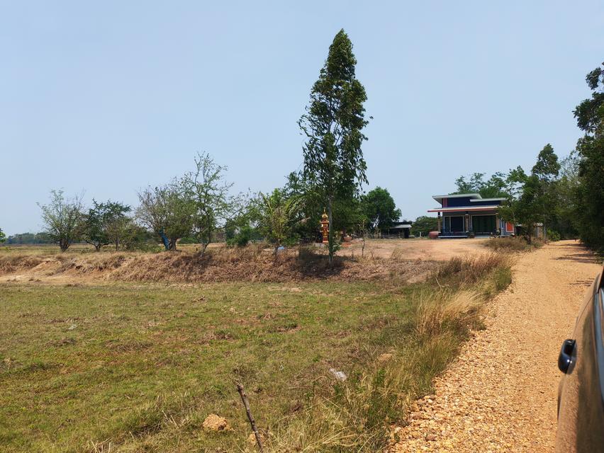 ​🏠 [ประกาศขาย] บ้านสวนโมเดิร์น พร้อมที่ดินผืนใหญ่ 11 ไร่เศษ 🌳 ​สัมผัสชีวิตใกล้ชิดธรรมชาติ บนพื้นที่ส่วนตัวที่ตอบโจทย์ทุกการใช้ชีวิต 🍃 3