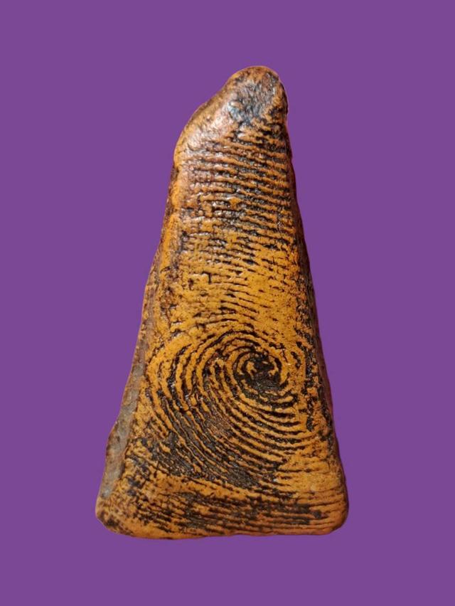 เปิดจ้า💞สนใจทักแชทได้เลยนะคะ 💚ส่งฟรีค่ะ 🥰 รูปที่ 3