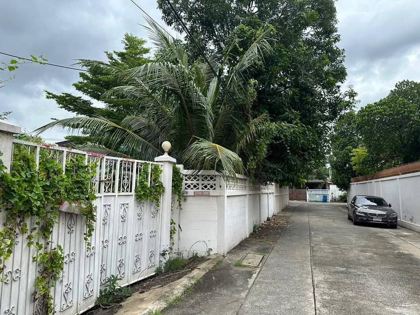 ขายที่ดินสุขุมวิท 71 เข้าออก เอกมัย/สุขุมวิท 65/ปรีดี15 แปลงสวยมาก ถนนหน้าที่ดินกว้าง สภาพแวดล้อมดี ใกล้ BTS เอกมัย พระโขนง Land Sukhumvit 4