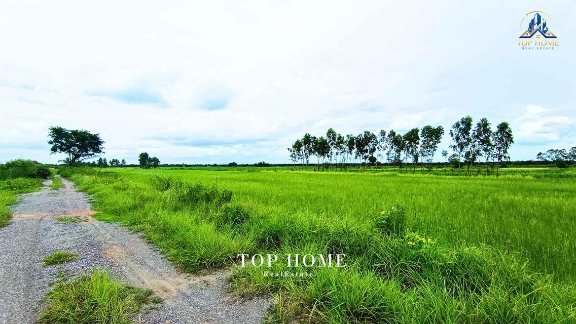 ขายด่วน! ที่ดินเปล่า 200 ตร.ว. องครักษ์ 24 — ราคาเพียง 590,000 บาท! 🔥 🌿 แปลงสวย ขนาดกำลังดี เหมาะทำสวน–เพาะปลูก | โฉนดเดียว 6
