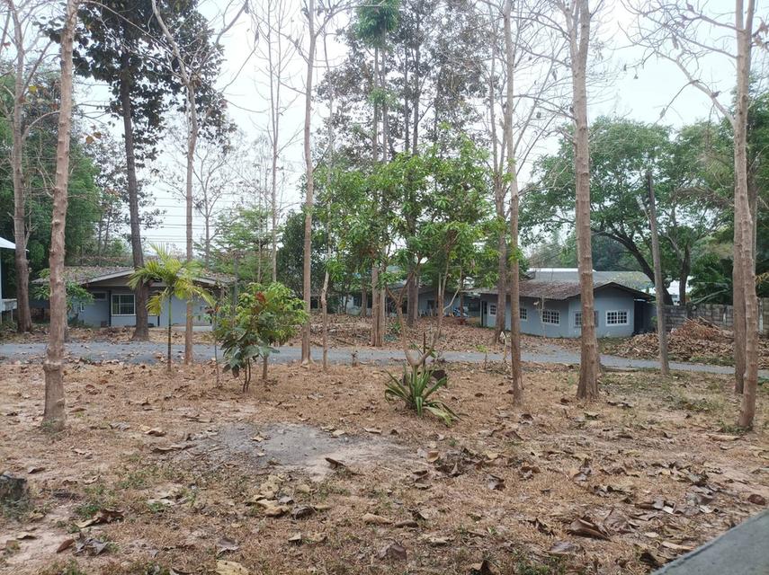 ขายที่ดินพร้อมสิ่งปลูกสร้าง ต.เชิงดอย อ.ดอยสะเก็ด จ.เชียงใหม่ 16