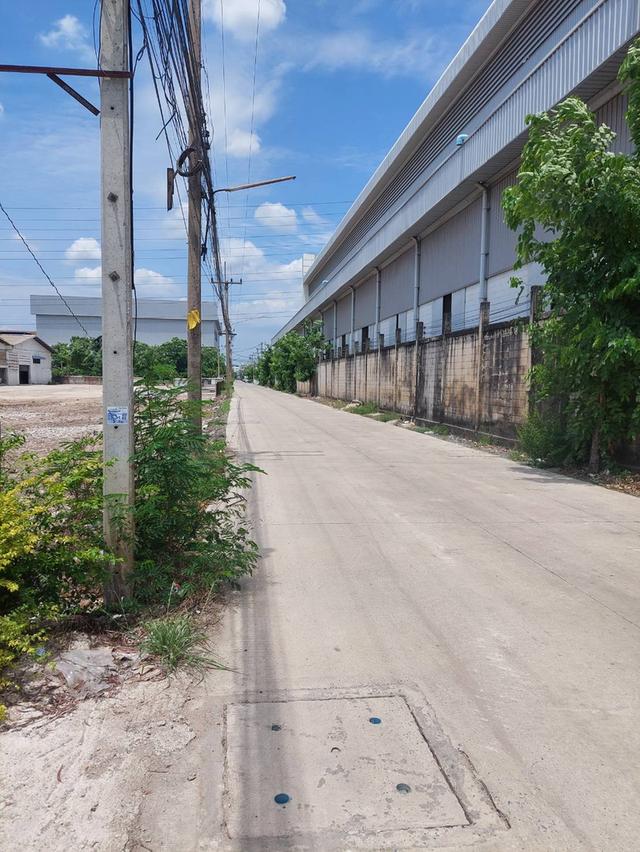 ให้เช่าที่ดินซอย หงสกุล (คลองหลวง 21) ระยะยาว ถมแล้ว แปลงสวย เหมาะสำหรับ ทำโรงงาน SME  6