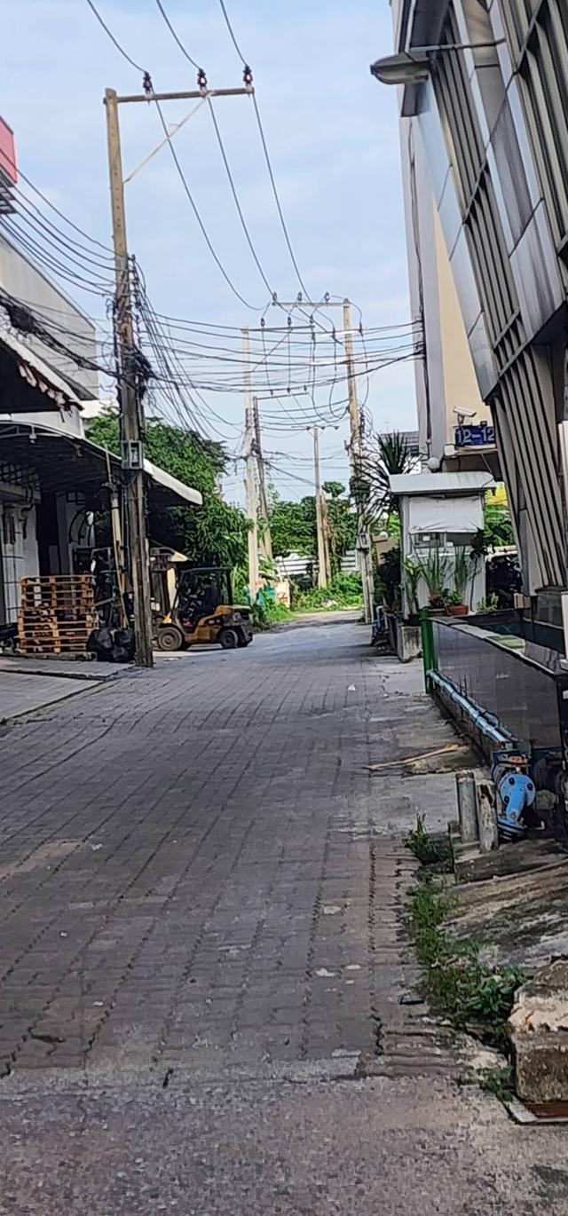 ที่ดิน 4