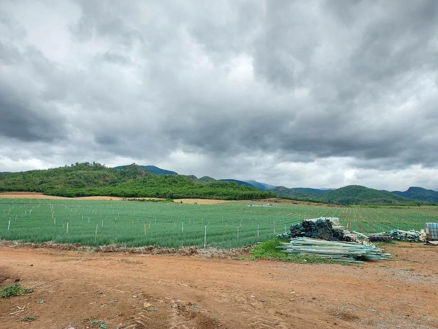 ต้องการขายที่ดินอยู่อำเภอหนองปรือจังหวัดกาญจนบุรี 3