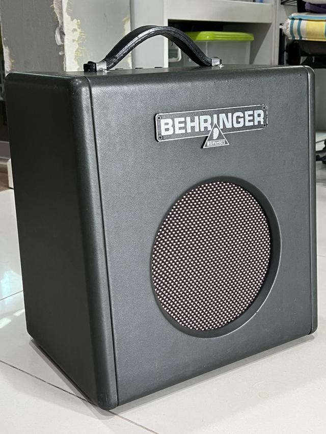 เบสโปร่งไฟฟ้า Vivid รุ่น 485C ไฟฟ้า 4 สาย ขายพร้อมตู้แอมป์เบส Behringer BX108 8 นิ้ว 15 วัตต์ รูปที่ 10