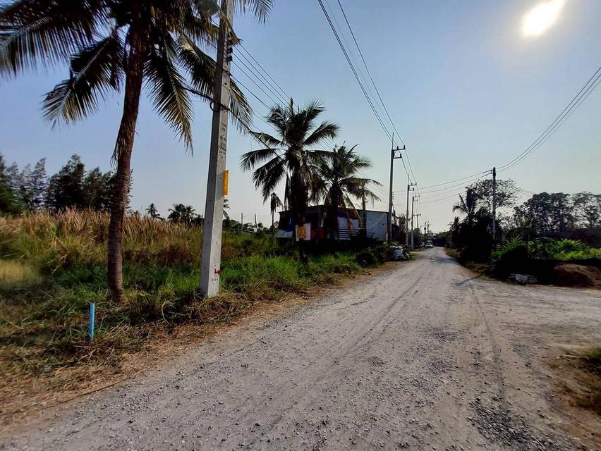 ขายด่วนที่ดิน 96 ตรว ติดถนนสาธารณะ ลานตากฟ้า นครชัยศรี นครปฐม 9