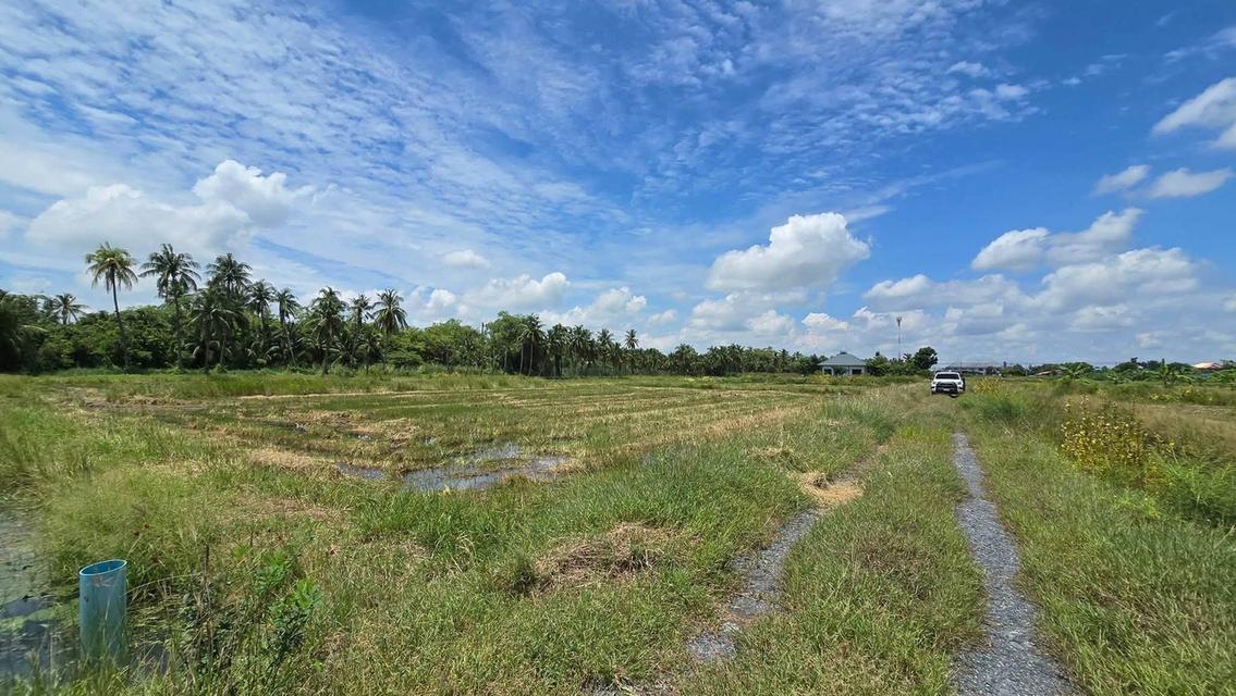 ขายด่วนที่ดิน 600 ตรว ติดถนนสาธารณะ ต.มหาสวัสดิ์ อ.พุทธมณฑล จ.นครปฐม 7