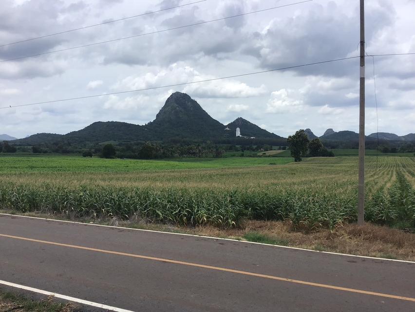 ขายที่ดิน โฉนดครุฑแดง ขนาด 48 ไร่  16