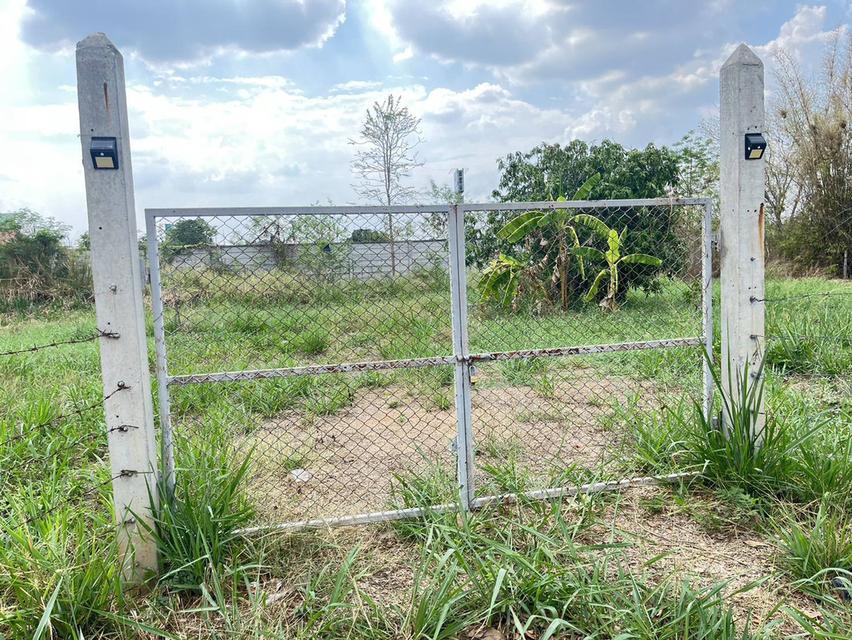 ขายที่ดินแปลงสวย ทำเลดี 8