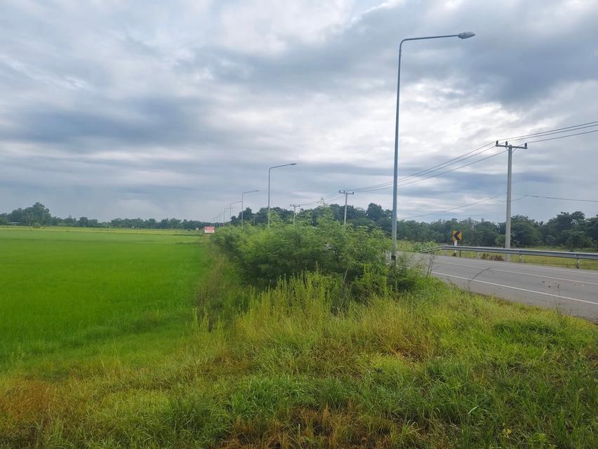 ที่ดิน จ.ชัยนาน 46ไร่ 13.5ล้าน สนใจติดต่อ 0988202508 3