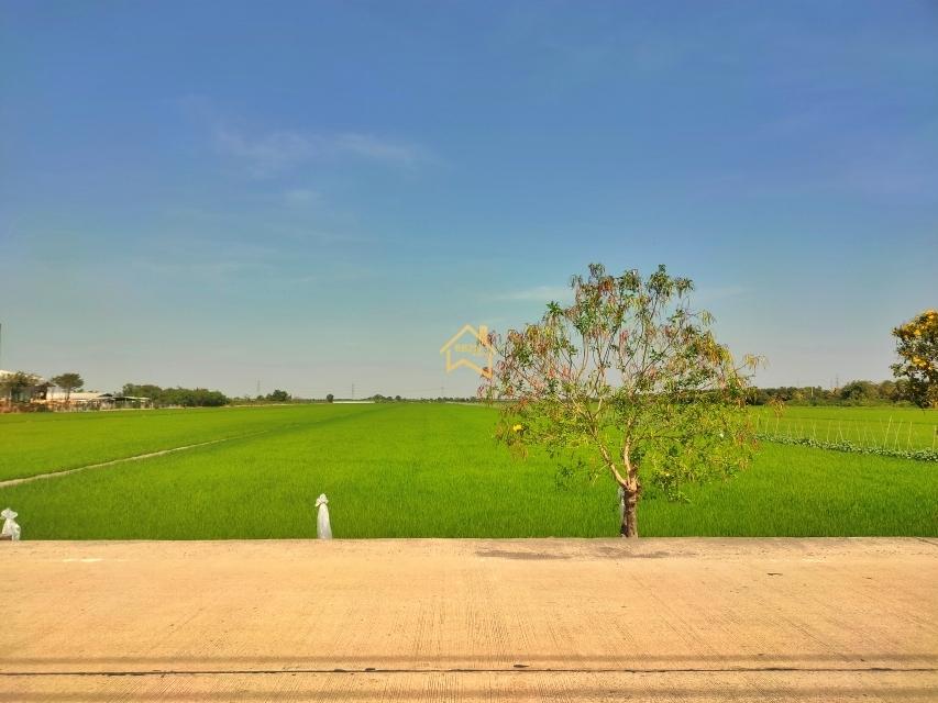 ขาย ที่ดิน 22 ไร่ 3 งาน 92.8 ตารางวา อ.ไทรน้อย จ.นนทบุรี ราคาถูกกว่าราคาตลาดมาก 1