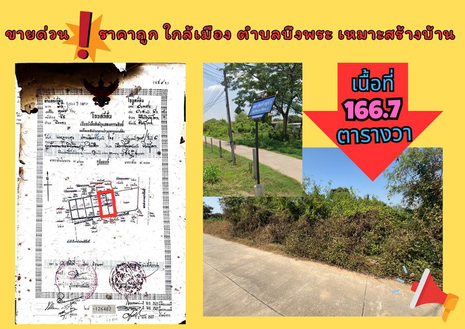 ที่ดิน 1 งาน 66.7 ตารางวา 700,000 เท่านั้น 3