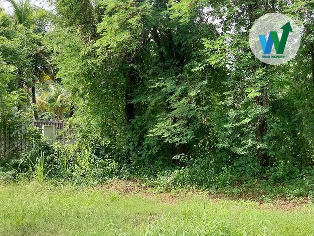 ขายที่ดินสวย ทำเลดี ใกล้บิ๊กซี ขอนแก่น2 4