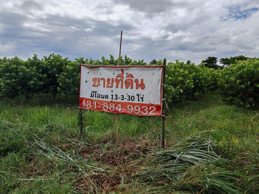 ที่ดินสวนผึ้ง​ราชบุรี 1