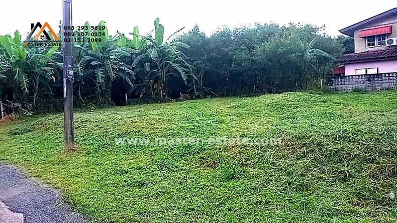 ที่ดินเปล่า 114 ตร.ว. ม.เปรมวดี พุทธมณฑลสาย 3 ถมแล้วสูงกว่าถนน 1 เมตร กว้าง 24 M. x ลึก 20 M. ถนนด้านหน้าที่ดินเป็นสาธารณะ ที่สวยมาก ราคาพร้อมโอน 2