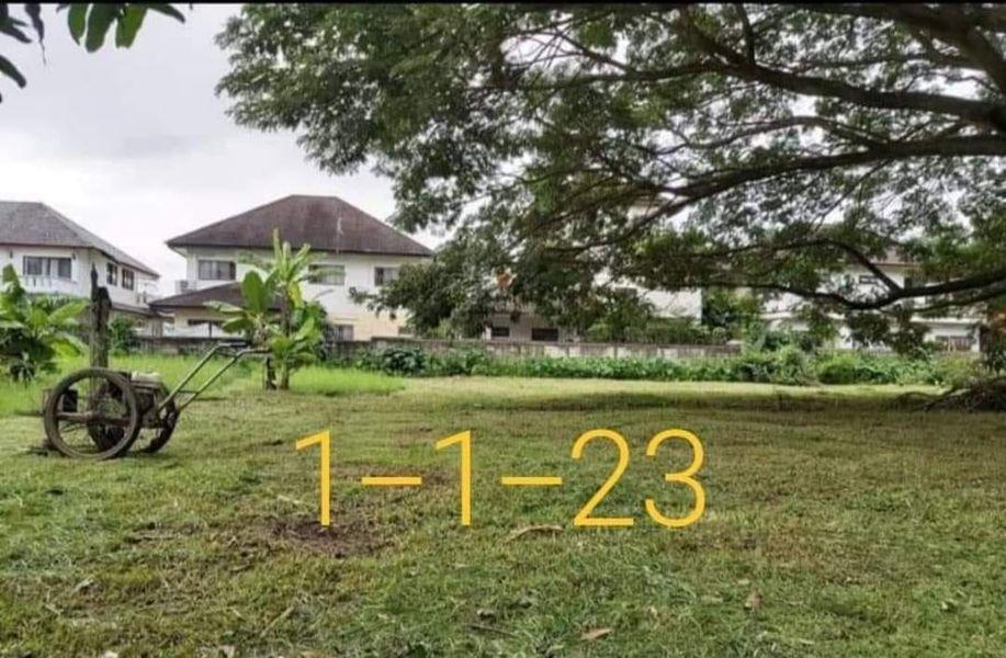 ขายที่ดินเชียงใหม่เนื้อที่ 523 ตรว/25,000.-  รวม 13 ล้าน 2